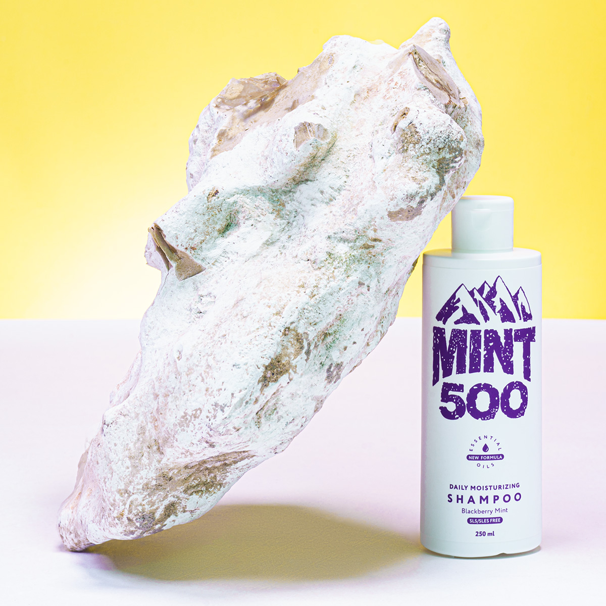 MINT500 Шампунь бессульфатный увлажняющий Mint500 Daily Moisturising SLS Free Shampoo Blackberry Mint 250 мл