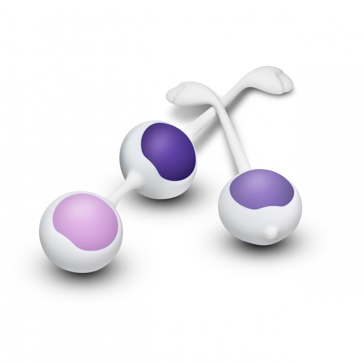 Wellness Тренировочный набор для вагины Wellness Kegel Training Kit